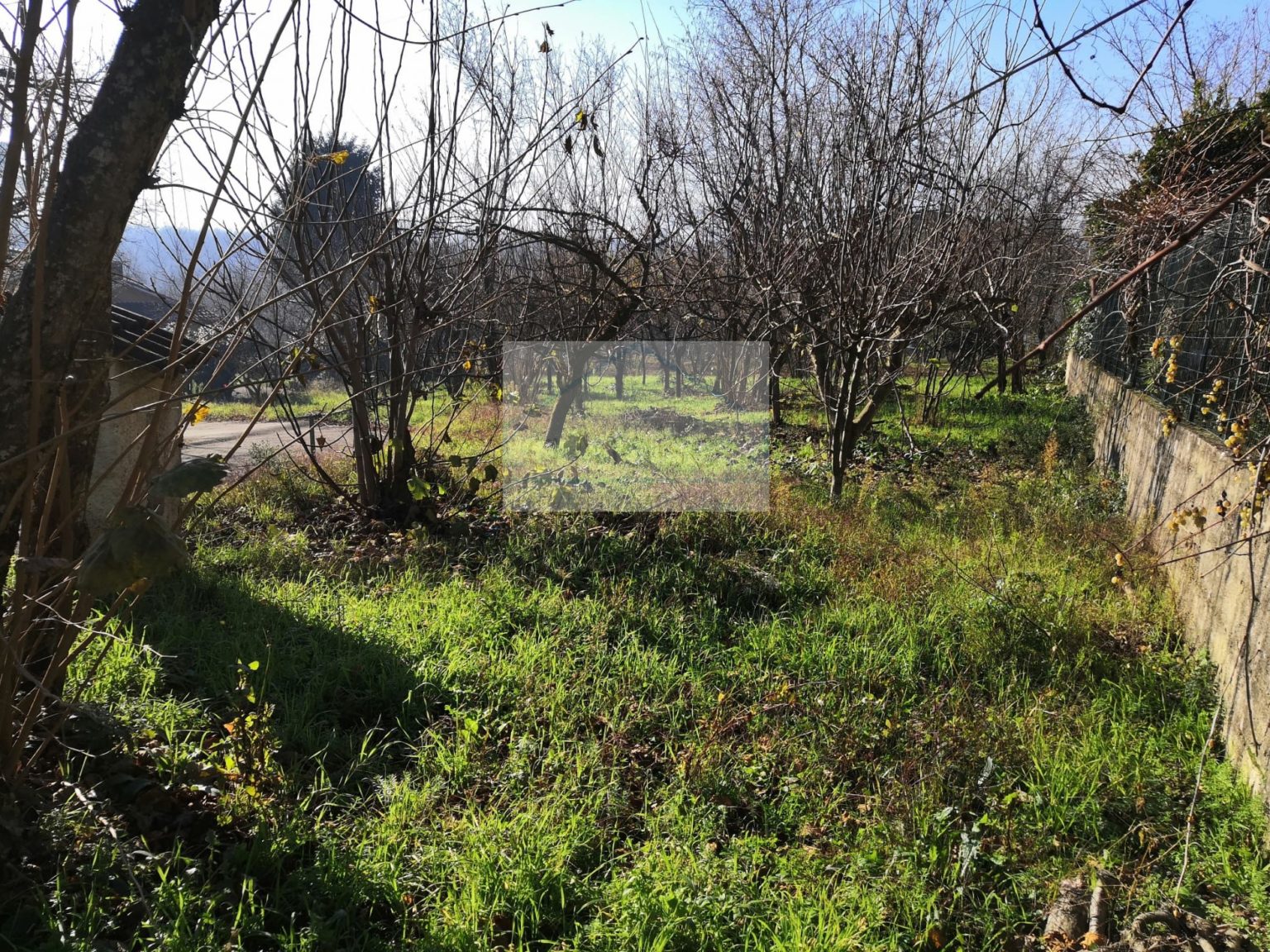 AVELLINO (AV) CONTRADA ARCHI La Maison